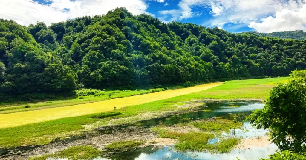 町おこし　イベント