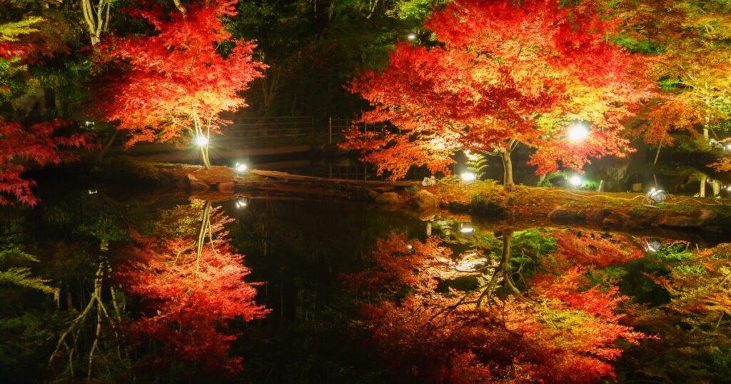 11月 イベント ネタ