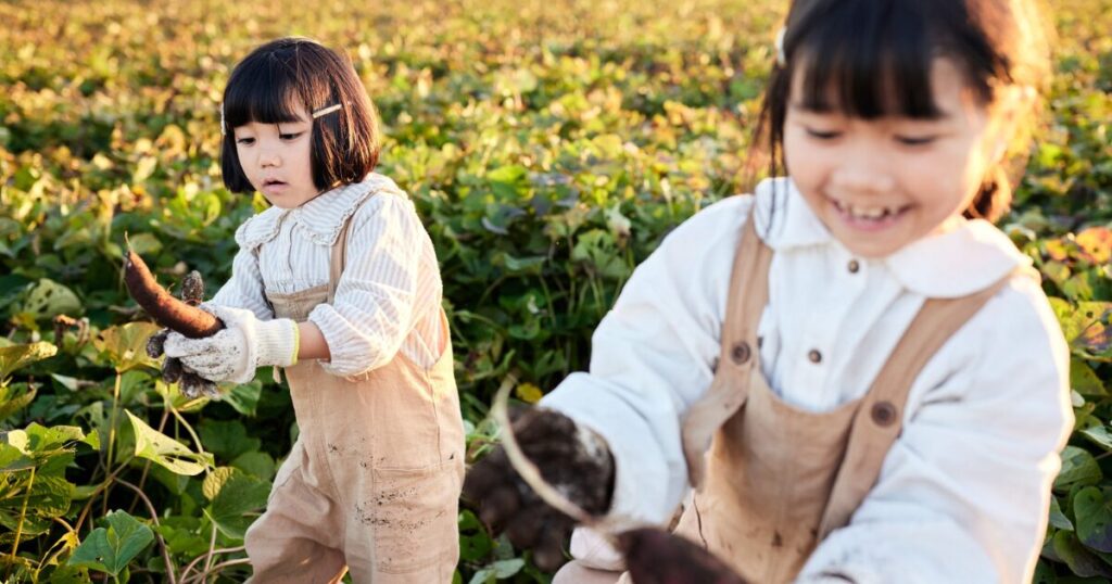 11月 イベント ネタ