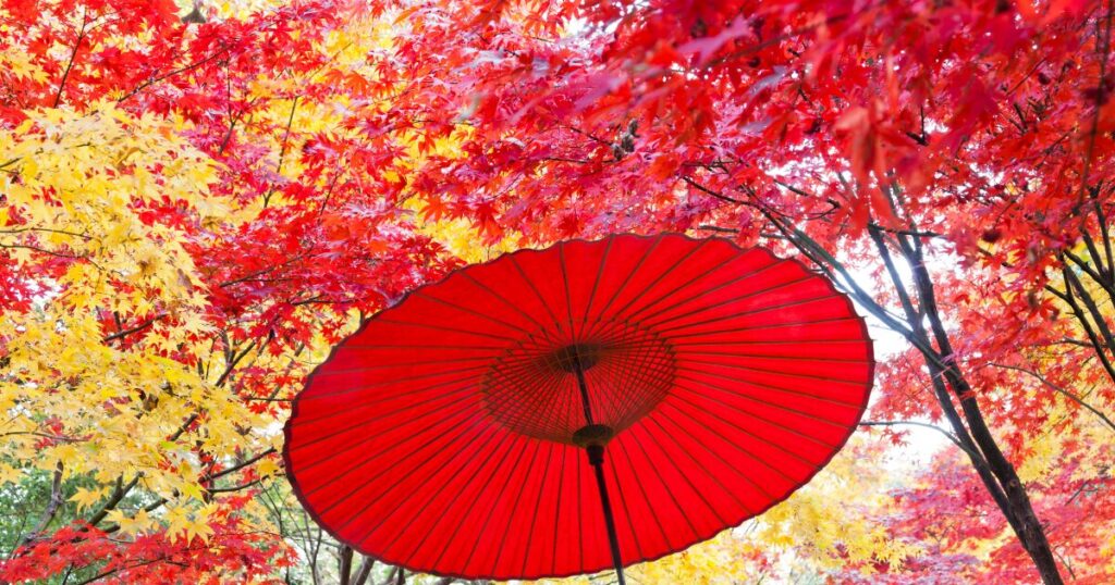 11月 イベント ネタ